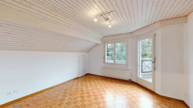 Attractive, bright attic apartment (6)