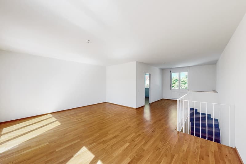 Spacious maisonette apartment in Riehen (4)