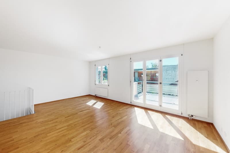 Spacious maisonette apartment in Riehen (5)