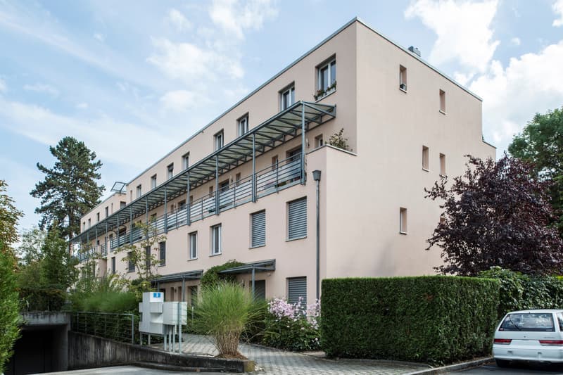 Spacious maisonette apartment in Riehen (1)