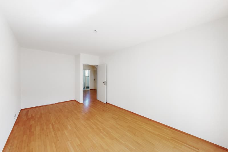 Spacious maisonette apartment in Riehen (7)