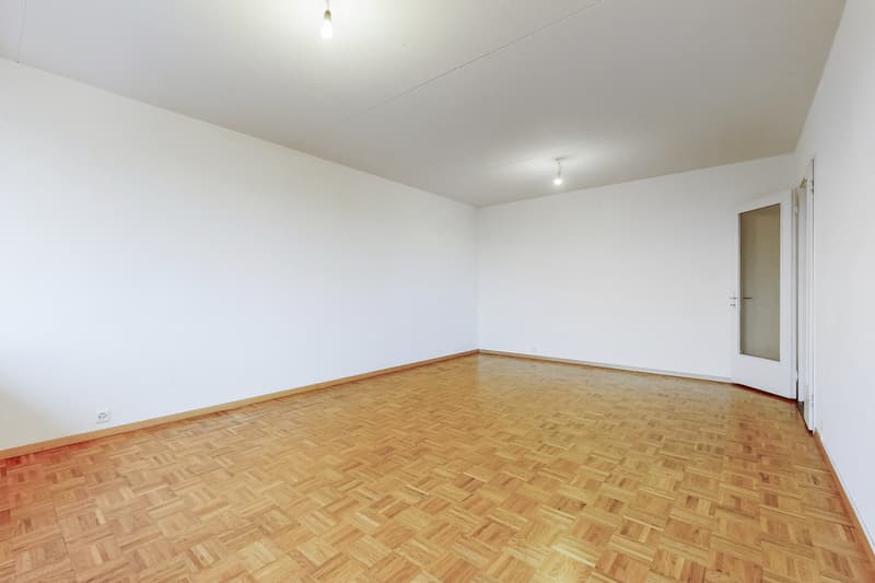 Beautiful family apartment in Petit-Lancy (4)