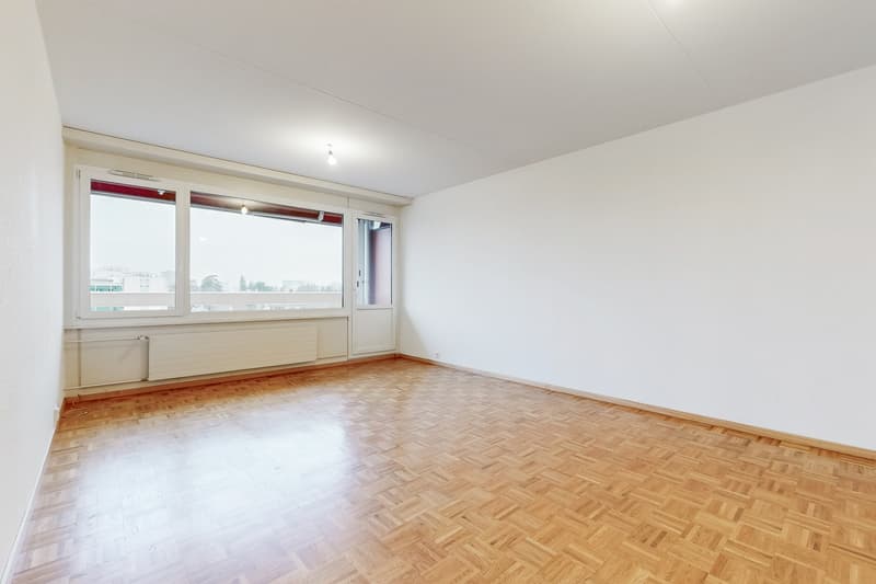 Beautiful family apartment in Petit-Lancy (3)