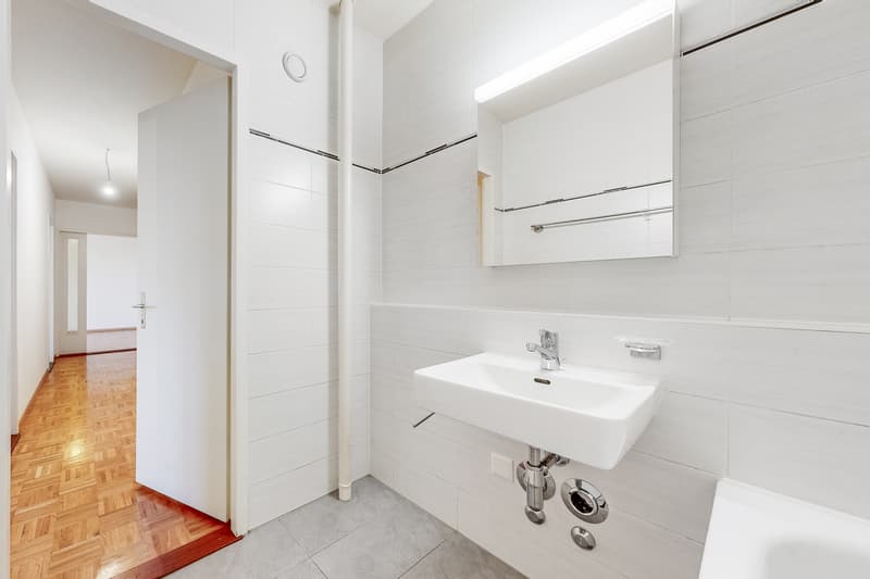 Beautiful family apartment in Petit-Lancy (7)