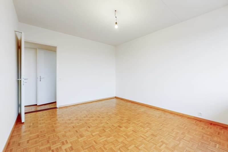 Beautiful family apartment in Petit-Lancy (6)