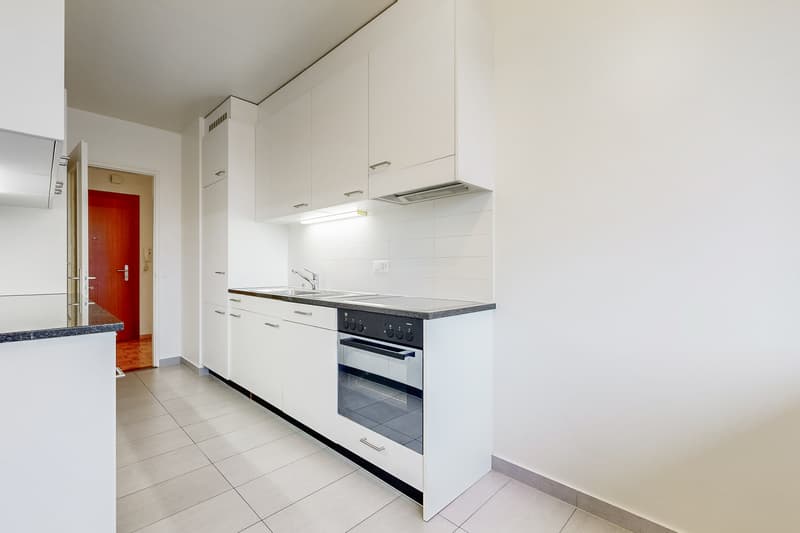 Beautiful family apartment in Petit-Lancy (5)