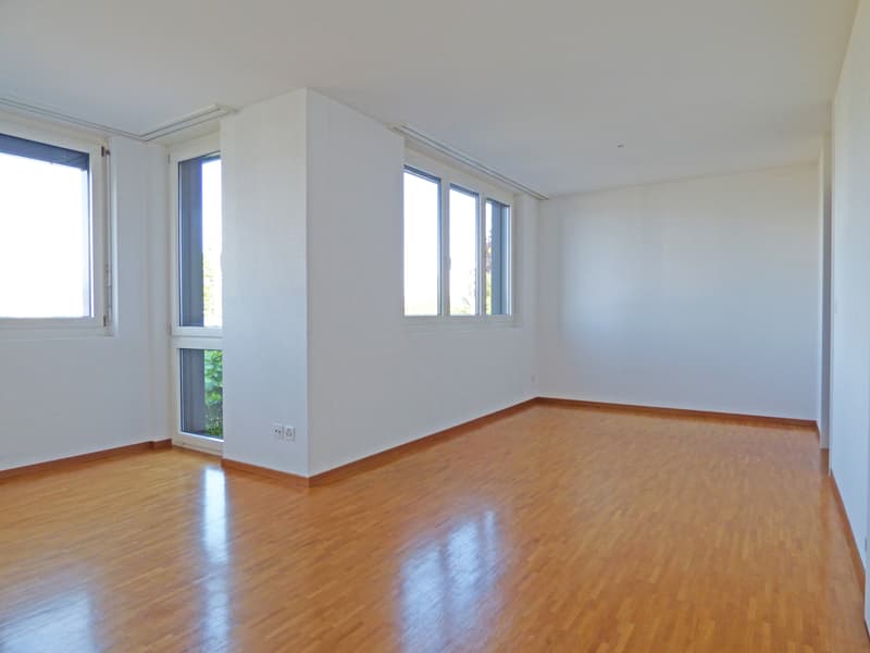 Dream Home on Lake Zurich (3)
