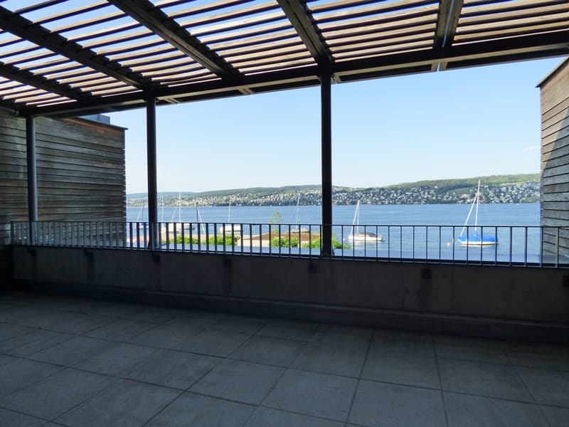 Dream Home on Lake Zurich (8)