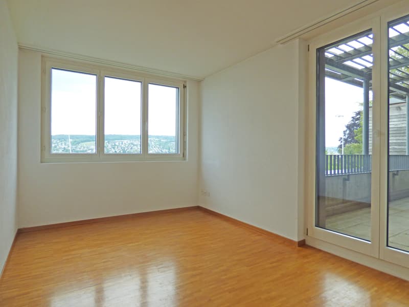 Dream Home on Lake Zurich (4)