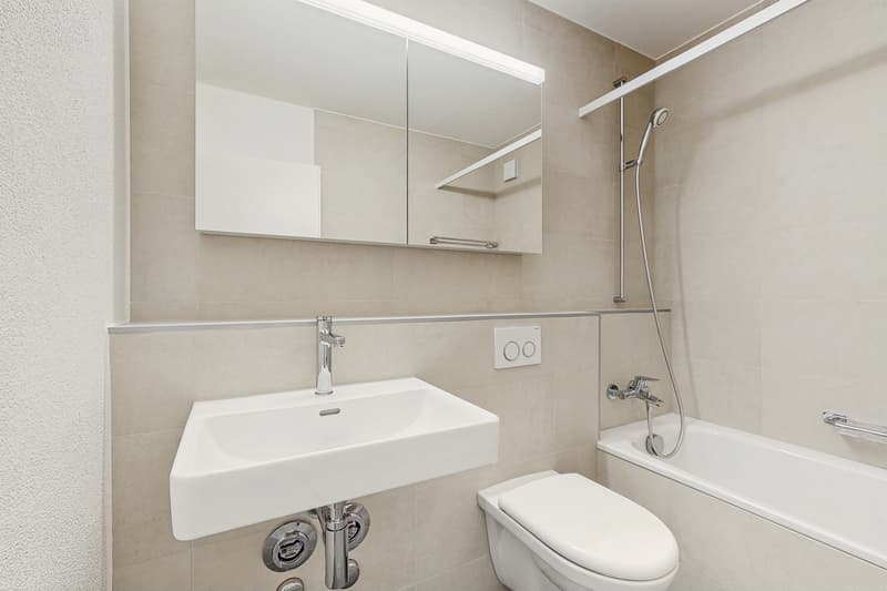 Freshly renovated 4-room apartment in a sought-after location (7)