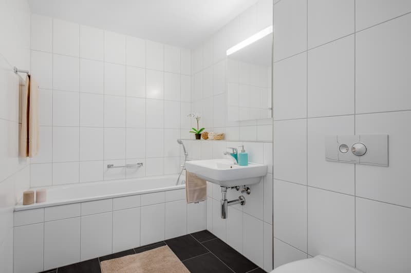 Appartamento attraente vicino a Limmat in una zona residenziale preferita (7)