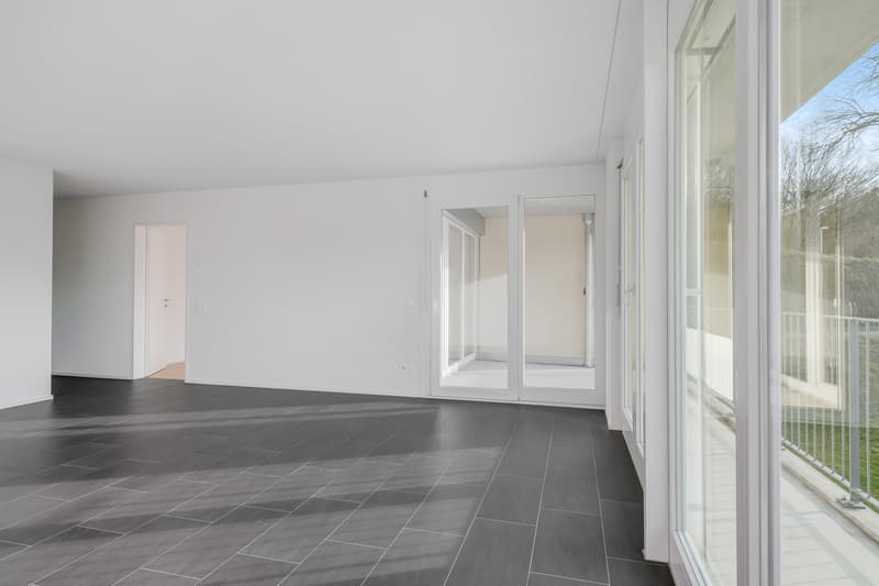 Appartamento attraente vicino a Limmat in una zona residenziale preferita (11)