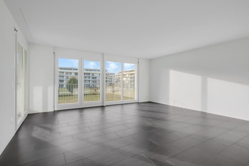 Appartamento attraente vicino a Limmat in una zona residenziale preferita (9)