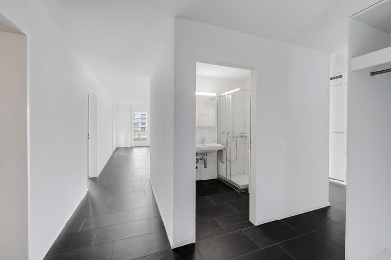 Appartamento attraente vicino a Limmat in una zona residenziale preferita (5)