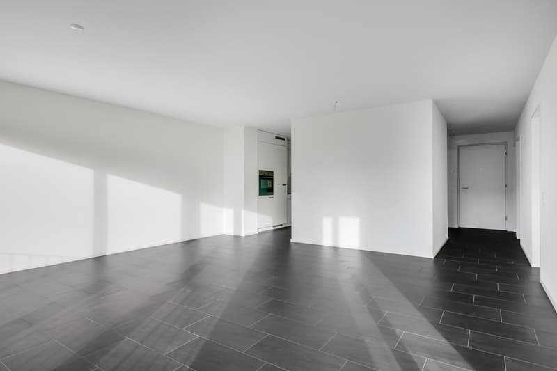Appartamento attraente vicino a Limmat in una zona residenziale preferita (10)