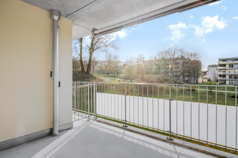 Appartamento attraente vicino a Limmat in una zona residenziale preferita (13)