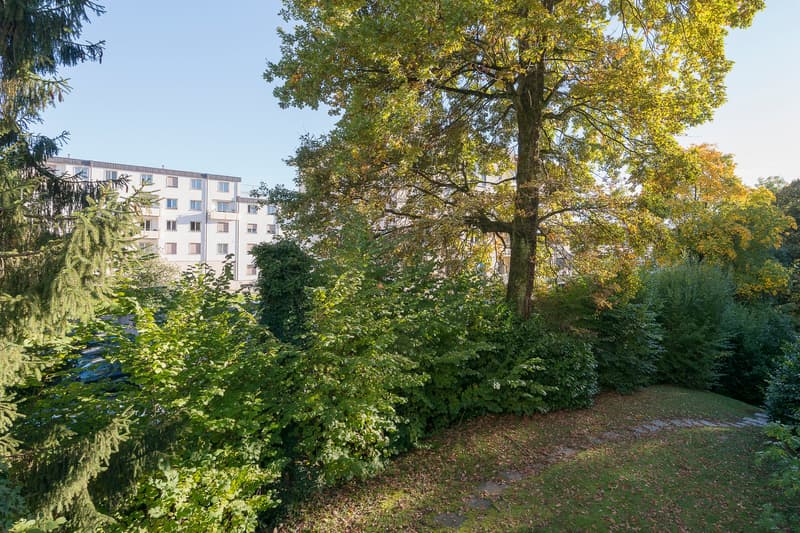Superbe logement, entièrement rafraîchi ! (2)