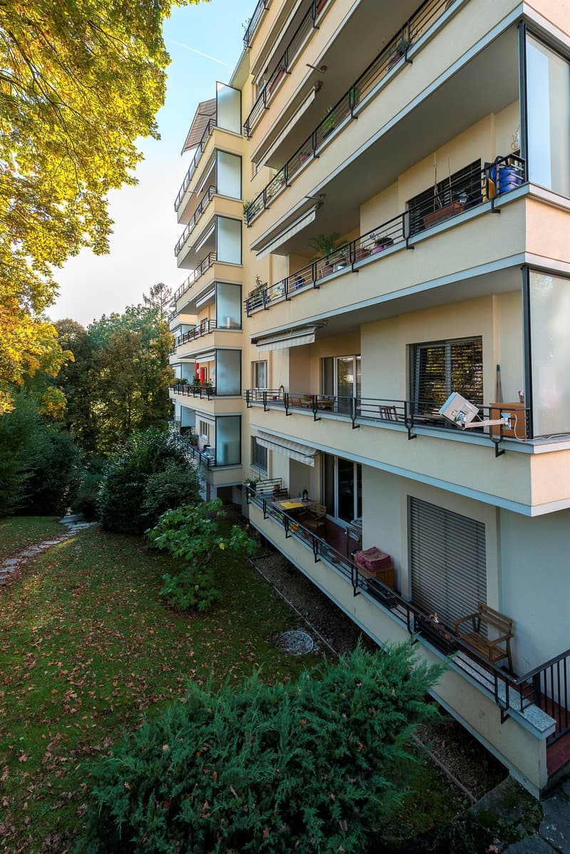 Superbe logement, entièrement rafraîchi ! (1)