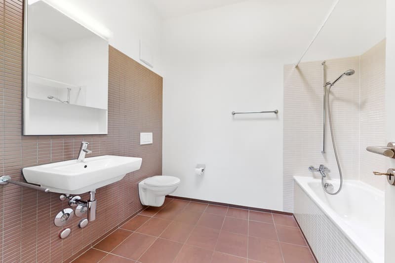 Votre rêve de maison sur Allschwiler Höhe (11)