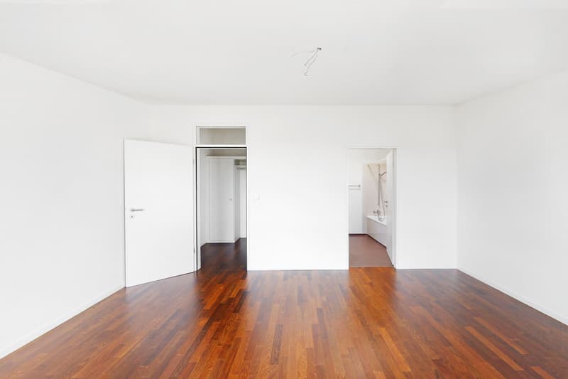 Votre rêve de maison sur Allschwiler Höhe (10)