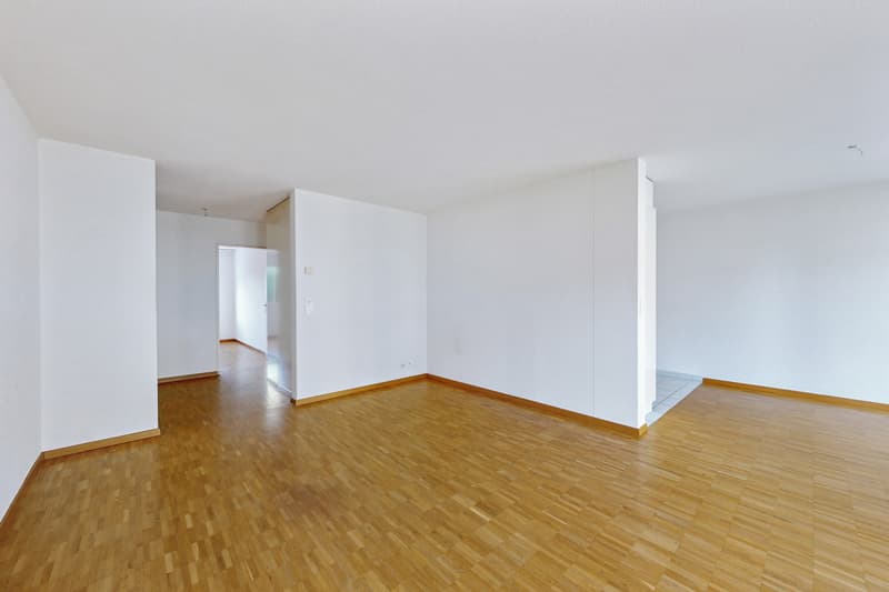 Bright apartment for rent (12)
