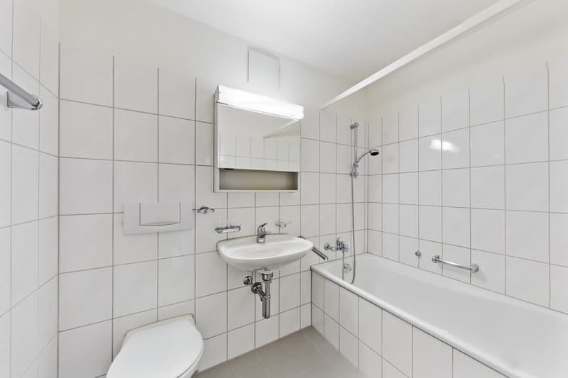 Bright apartment for rent (9)