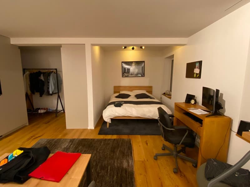 Cozy Studio Apartment (4)