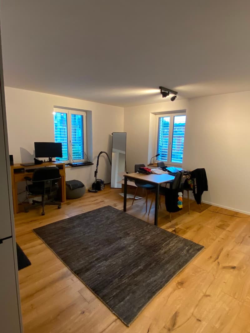 Cozy Studio Apartment (5)