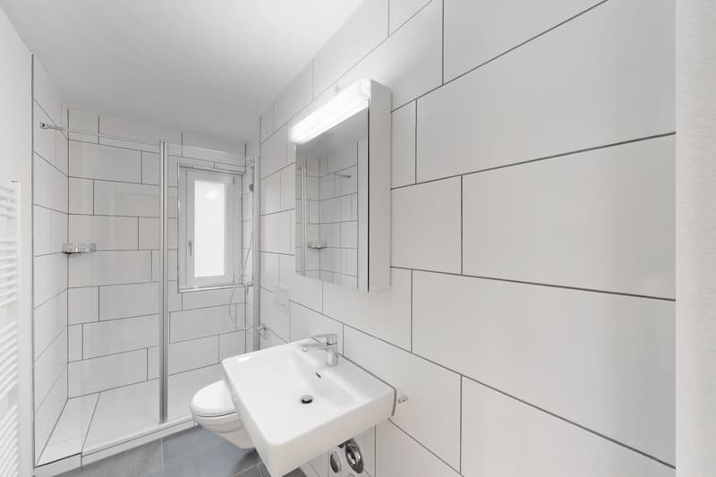 Zentrale Wohnlage in Oerlikon (6)