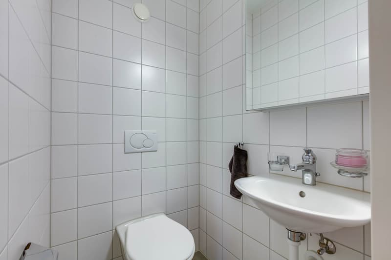 Votre nouvelle maison entre la nature et le confort (11)