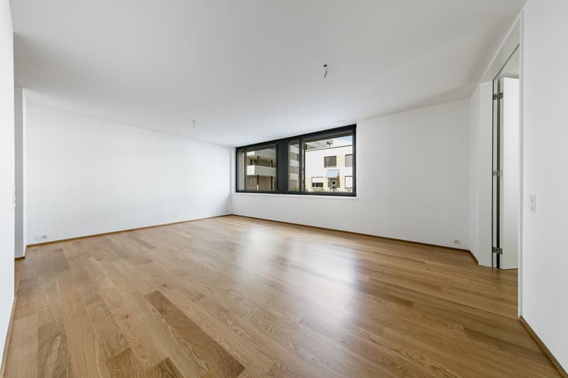 Appartamento familiare attraente a Schwamendingen (4)