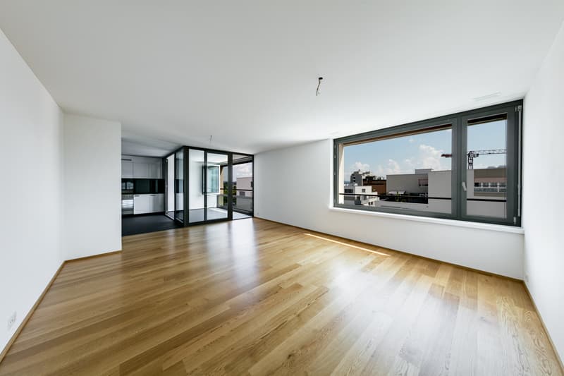 Appartamento familiare attraente a Schwamendingen (3)