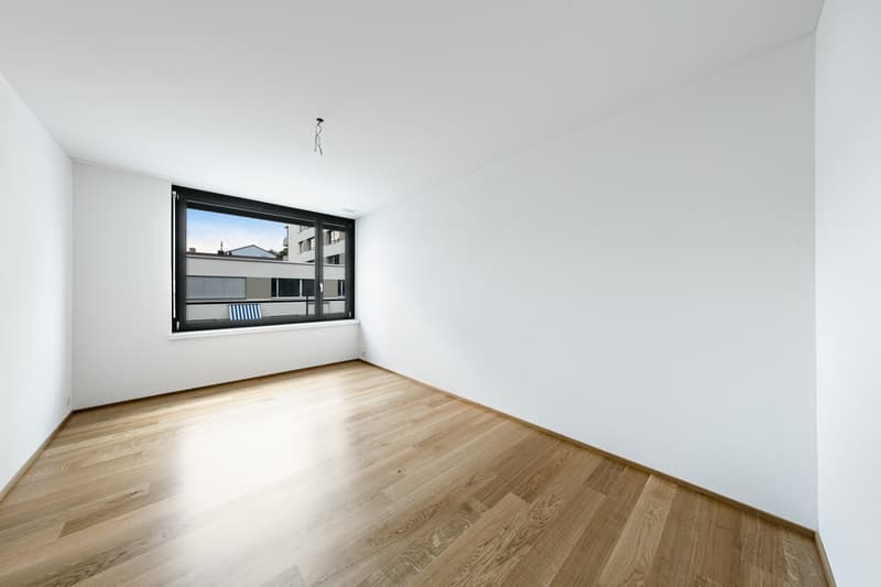 Appartamento familiare attraente a Schwamendingen (5)
