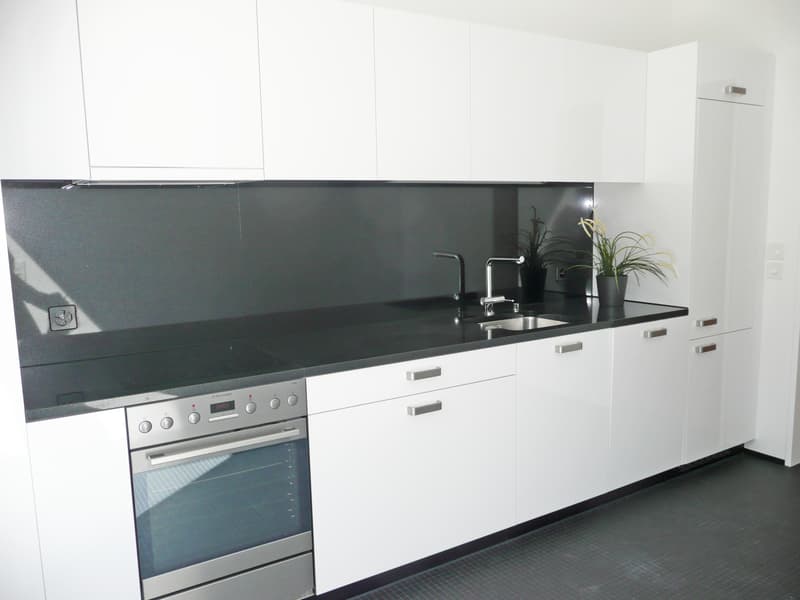 Appartamento familiare attraente a Schwamendingen (6)