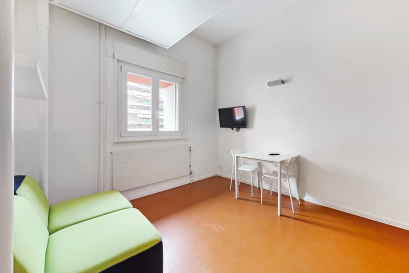 A furnished studio - Good deal, CHF 300.00 bonus offered! (3)