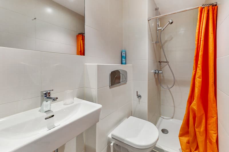 A furnished studio - Good deal, CHF 300.00 bonus offered! (6)