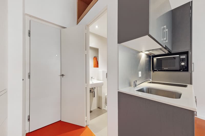 A furnished studio - Good deal, CHF 300.00 bonus offered! (5)