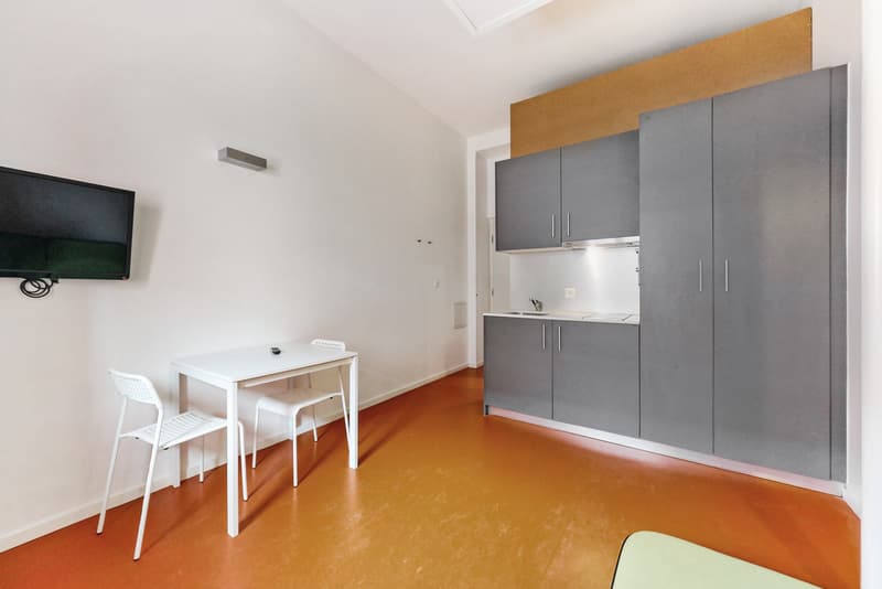 A furnished studio - Good deal, CHF 300.00 bonus offered! (10)