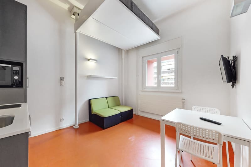A furnished studio - Good deal, CHF 300.00 bonus offered! (4)