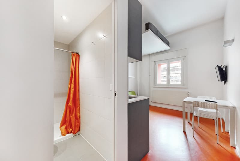 A furnished studio - Good deal, CHF 300.00 bonus offered! (7)