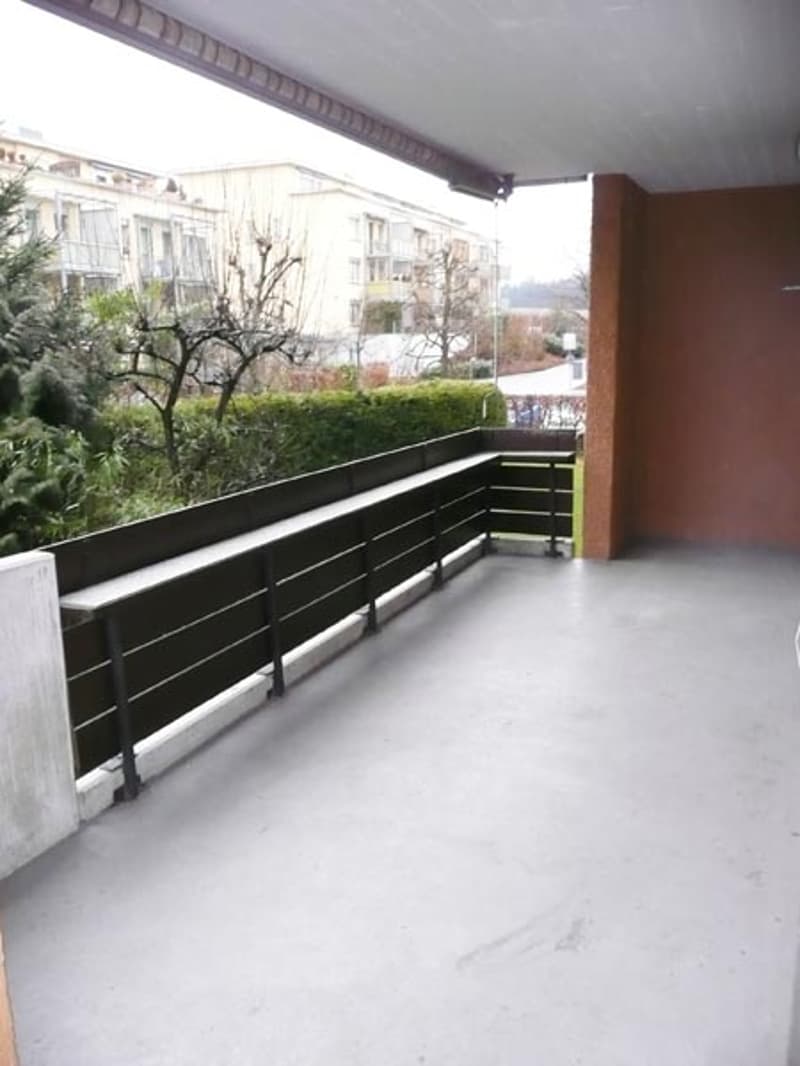 Circondato da bosco e prati (3)