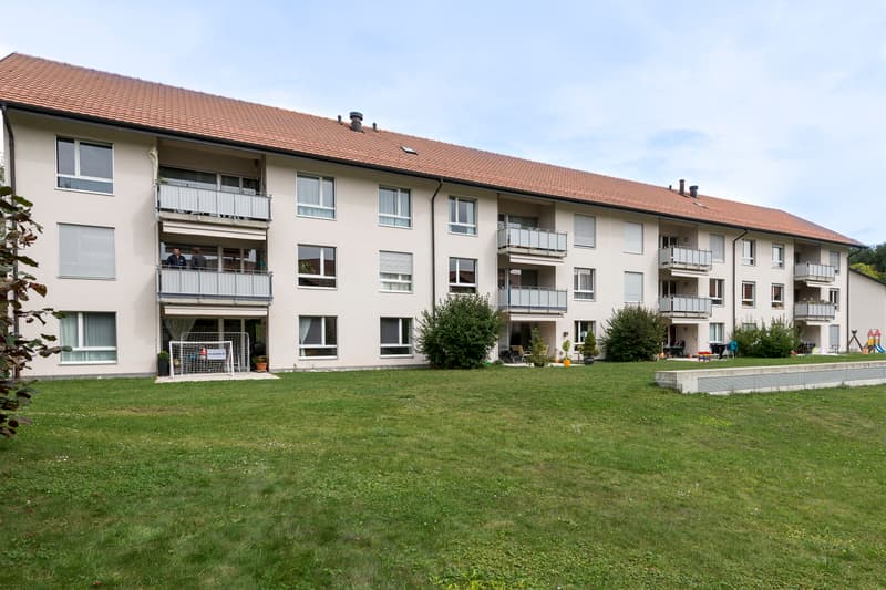 Ideal apartment in a quiet neighborhood (2)