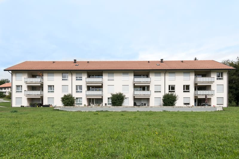 Ideal apartment in a quiet neighborhood (1)