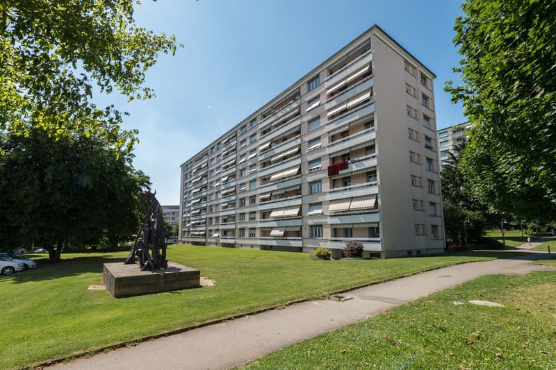 Prächtige Wohnung in Renens (1)