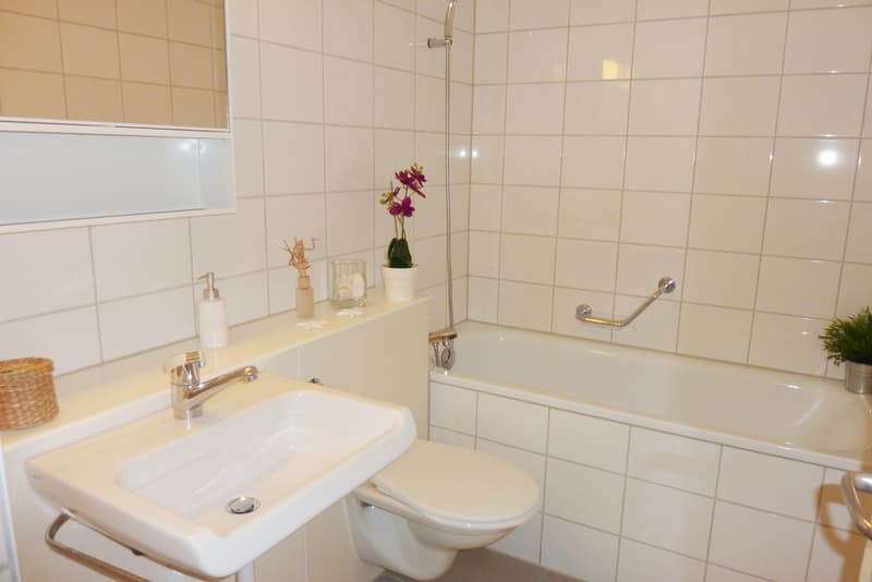 Superbe appartement pour une personne ! (4)