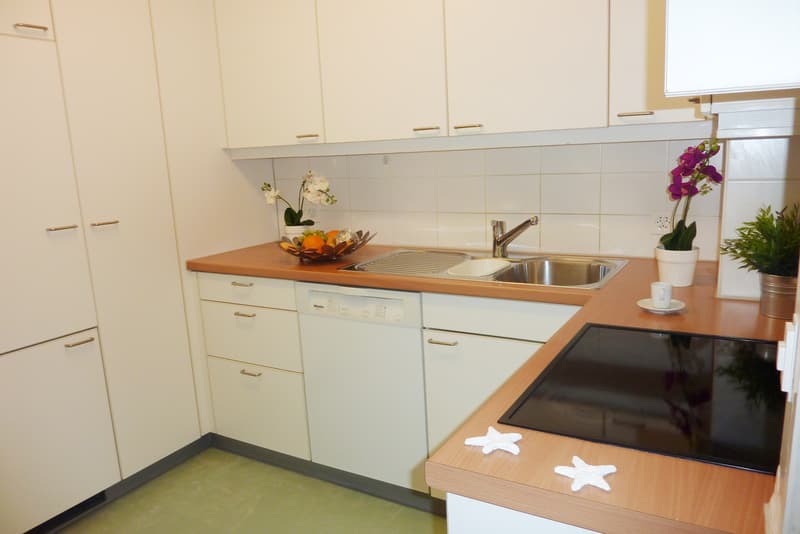 Superbe appartement pour une personne ! (3)