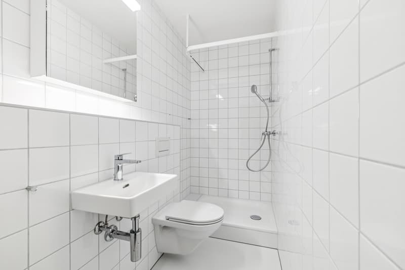 Loyer sans caution - Appartement moderne rénové avec atmosphère lumineuse (5)