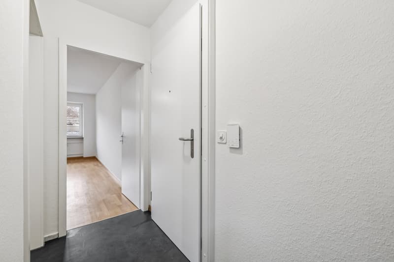 Loyer sans caution - Appartement moderne rénové avec atmosphère lumineuse (3)