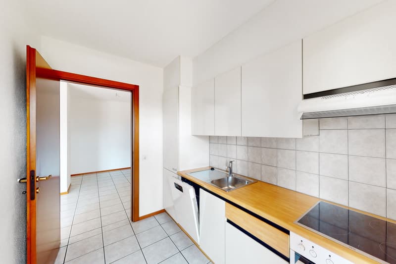 Living in Viganello between comfort and services (3)
