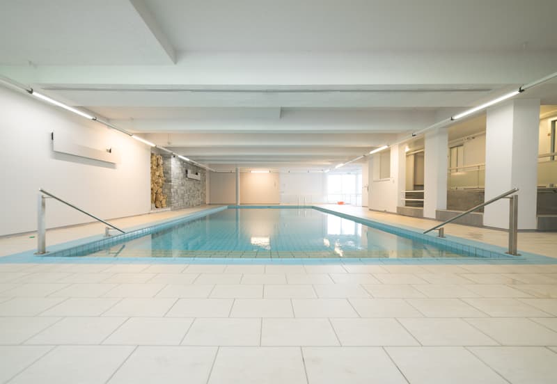 Piscine, sauna et situation stratégique au cœur de Paradiso (6)